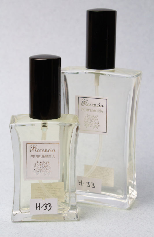 H-33 Inspirada en Black XS