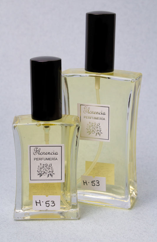 H-53 Inspirada en 212 VIP Black